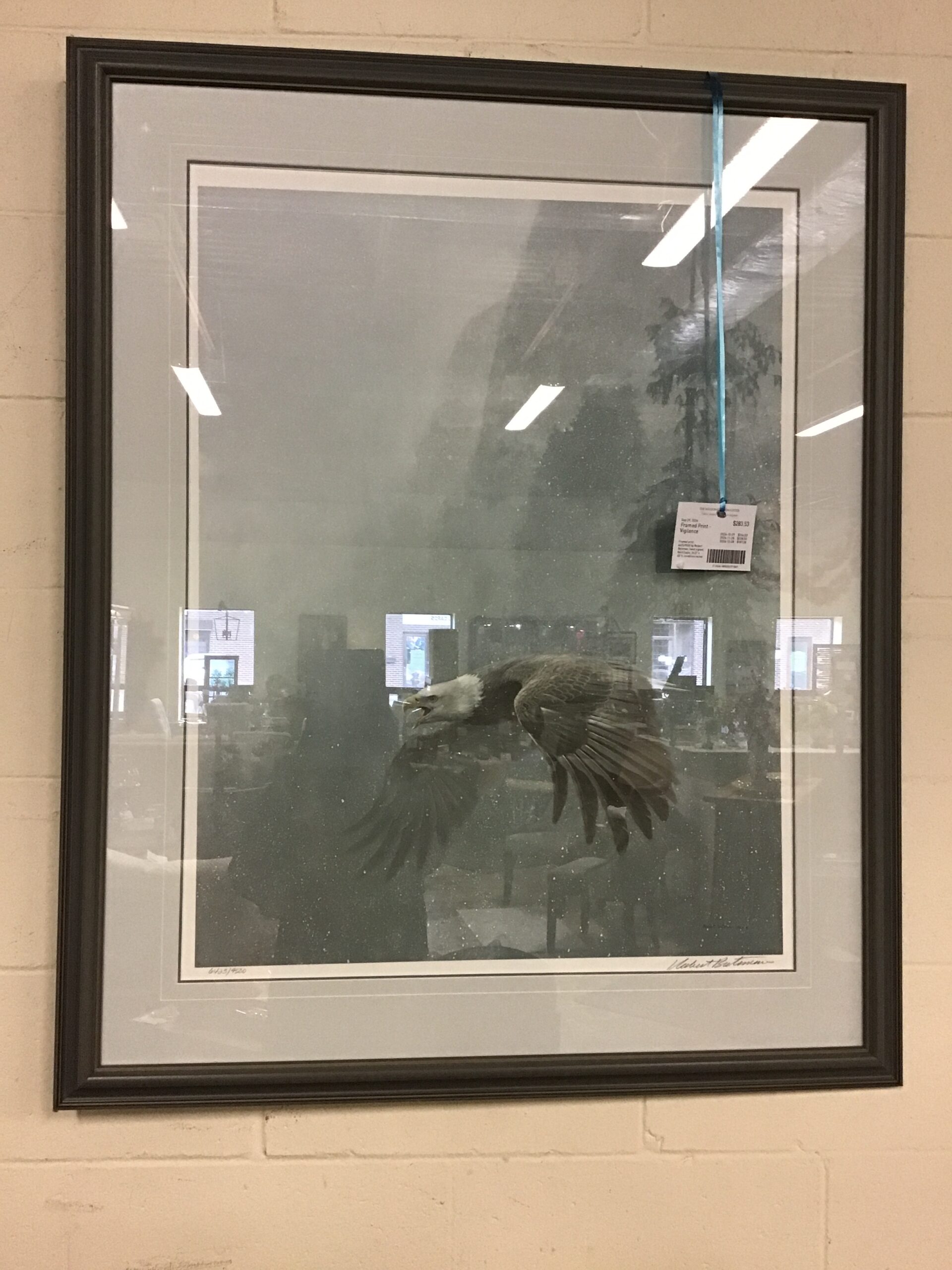 Framed Print – Vigilence