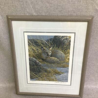 Robert Bateman Print ‘Curled Up – Swift Fox’
