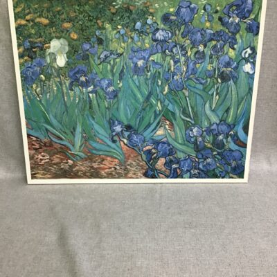 Reproduction Vincent Van Gogh Irises Print