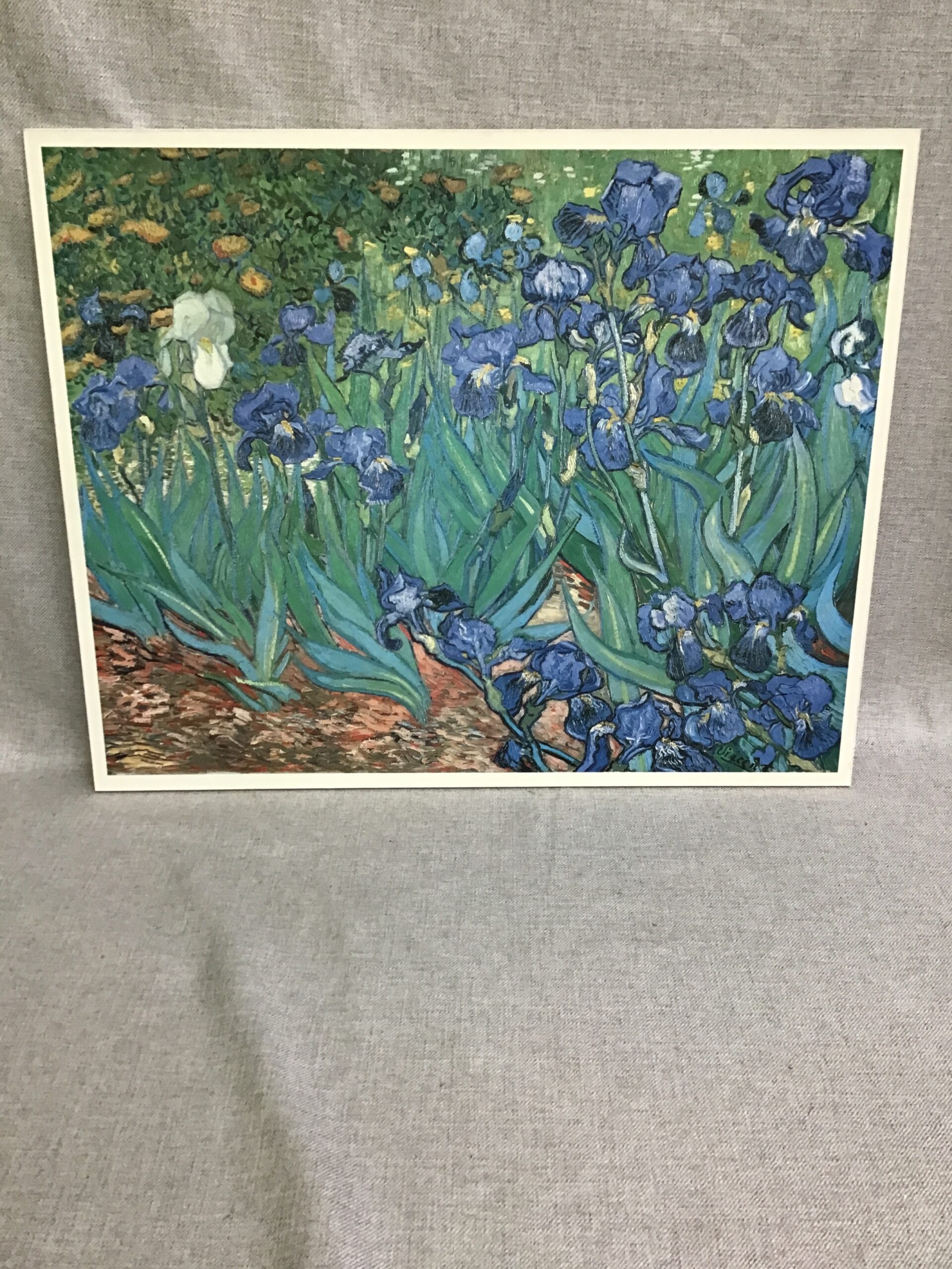 Reproduction Vincent Van Gogh Irises Print
