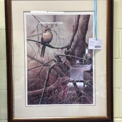 Framed Print – Female Cardinal