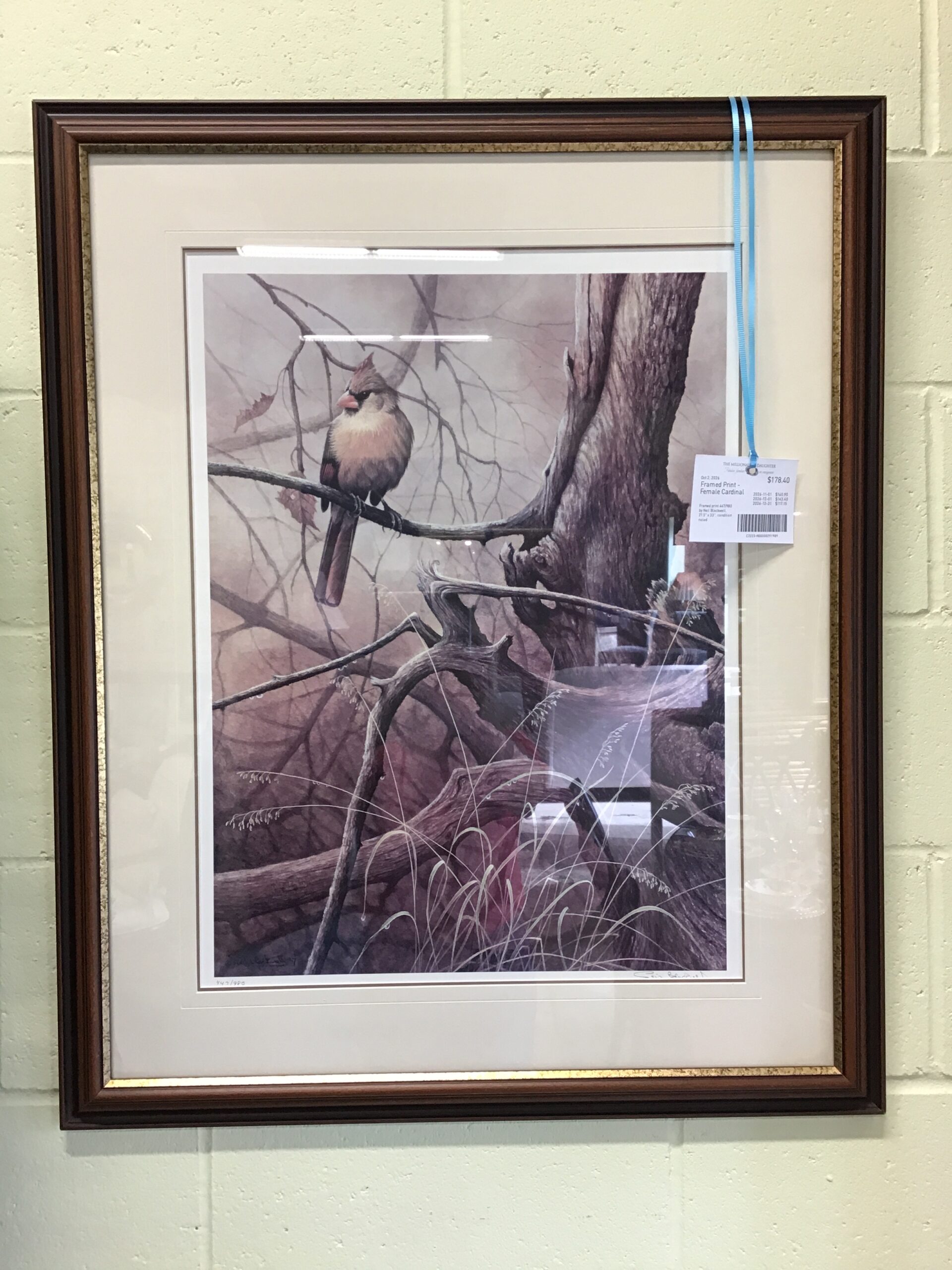 Framed Print – Female Cardinal