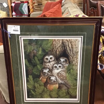Christine Marshall ‘Screech Owl Family’ Print