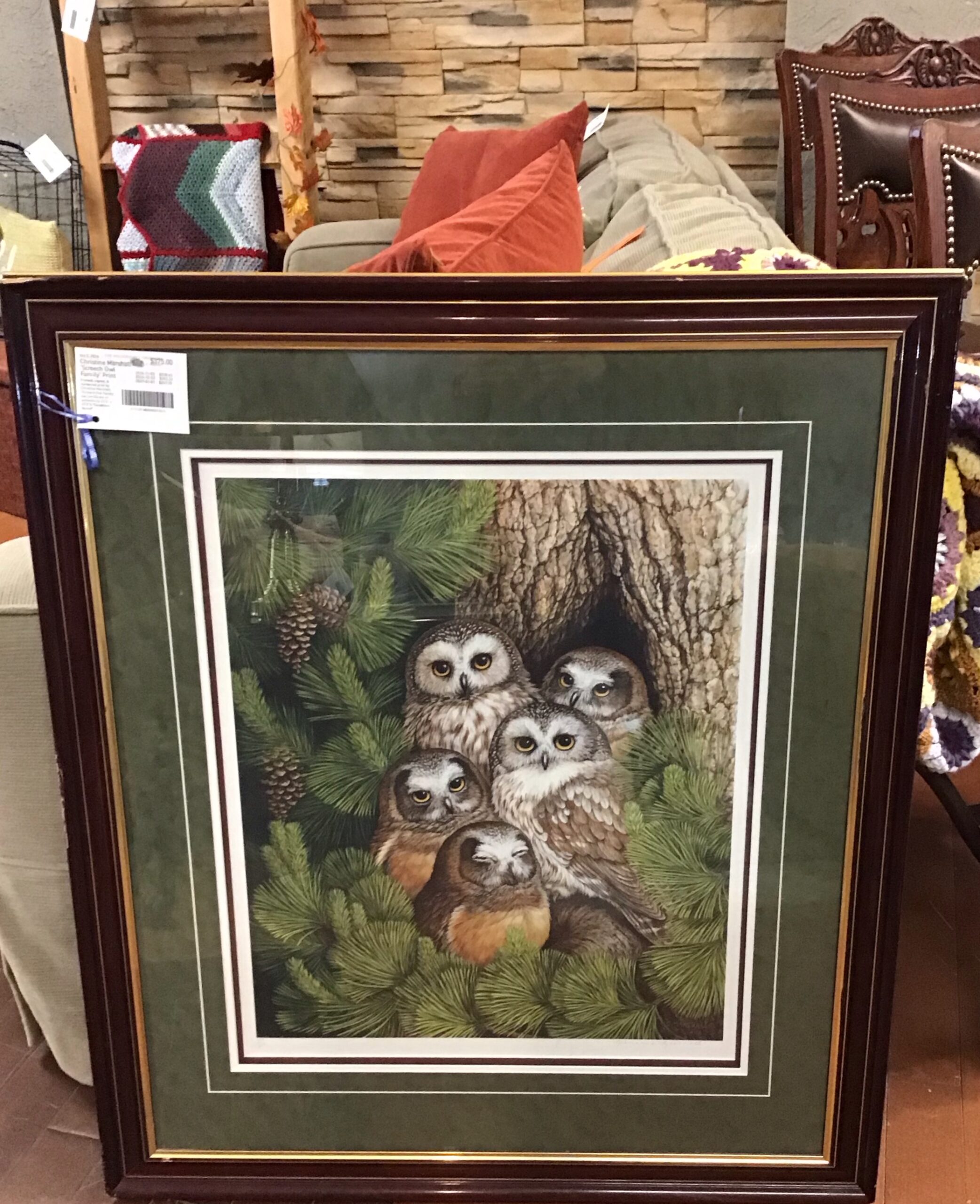 Christine Marshall ‘Screech Owl Family’ Print
