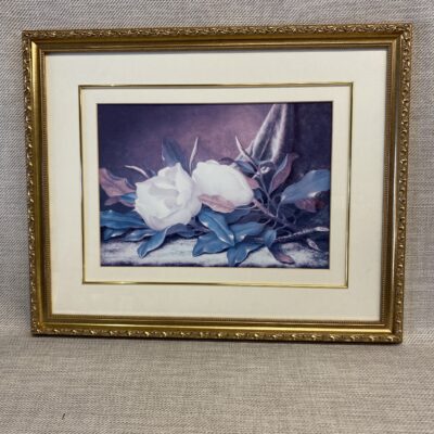 Framed Print – Magnolia
