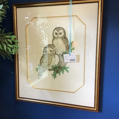 Framed Print – 2 Owls