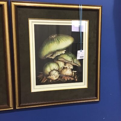 Framed Print – Mushroom A/P
