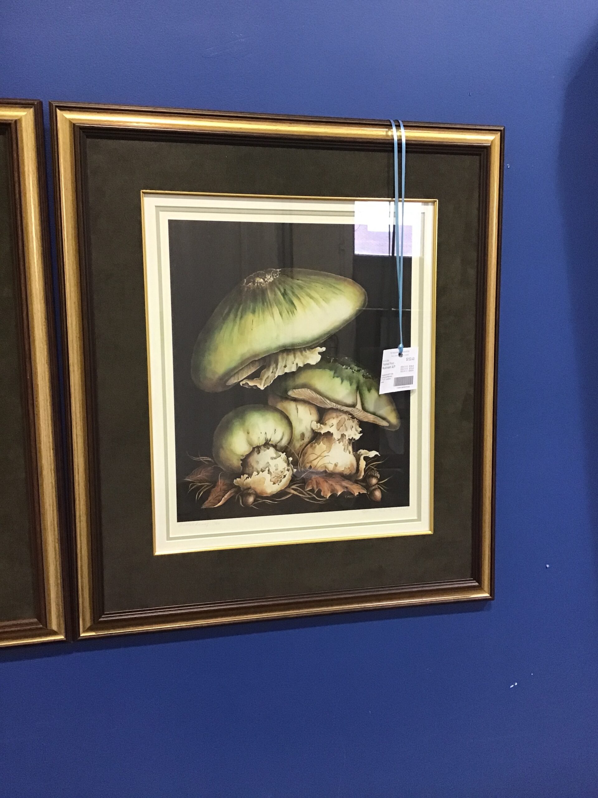 Framed Print – Mushroom A/P