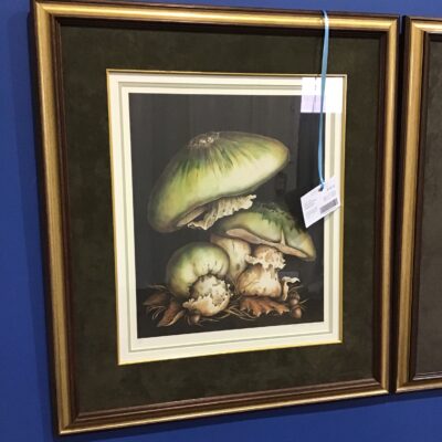 Framed Print – Mushroom