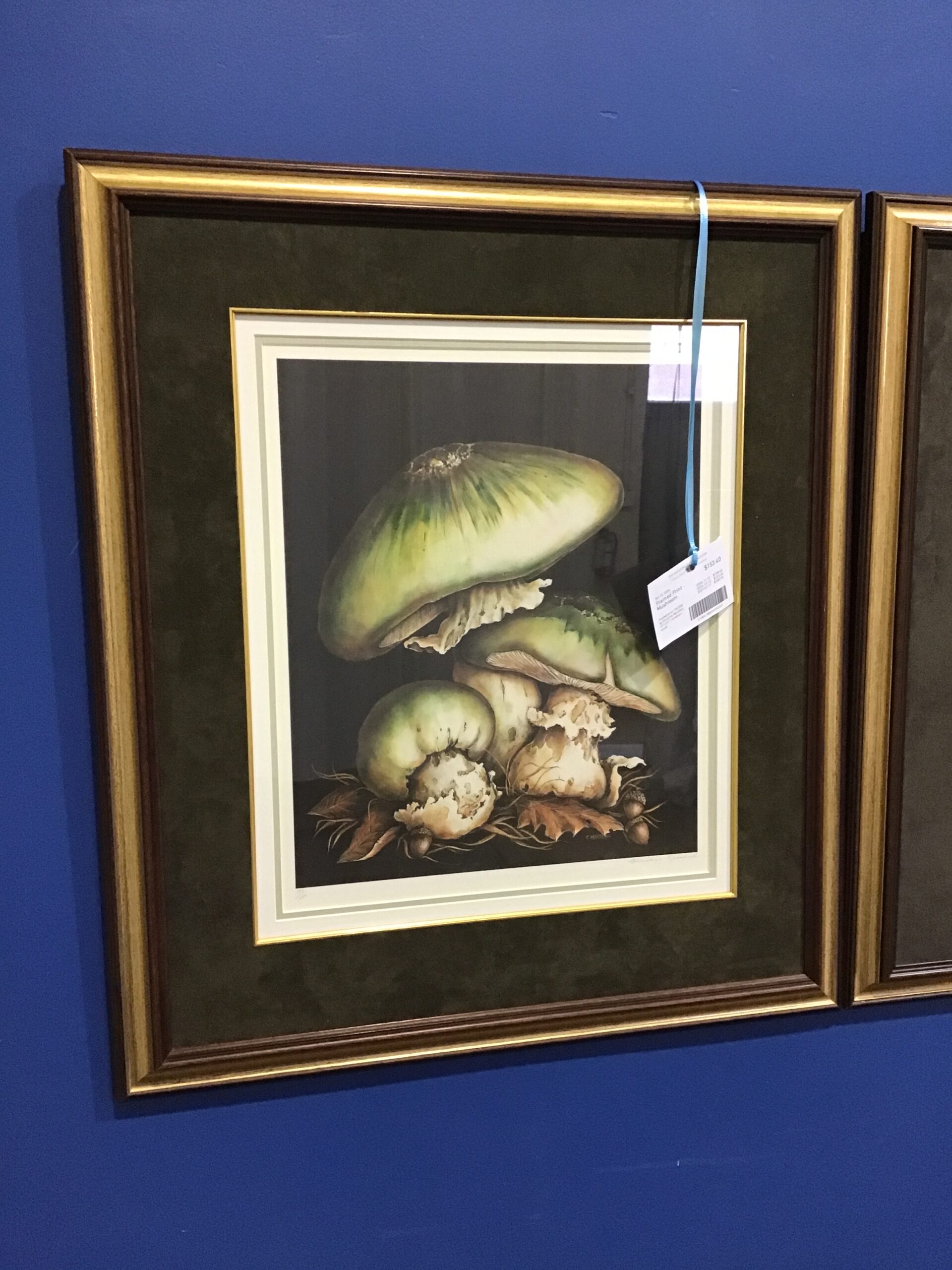 Framed Print – Mushroom