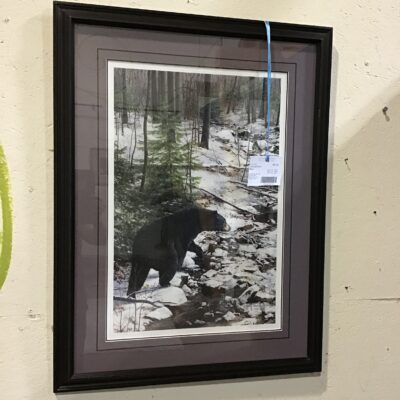 Framed Print – Bear