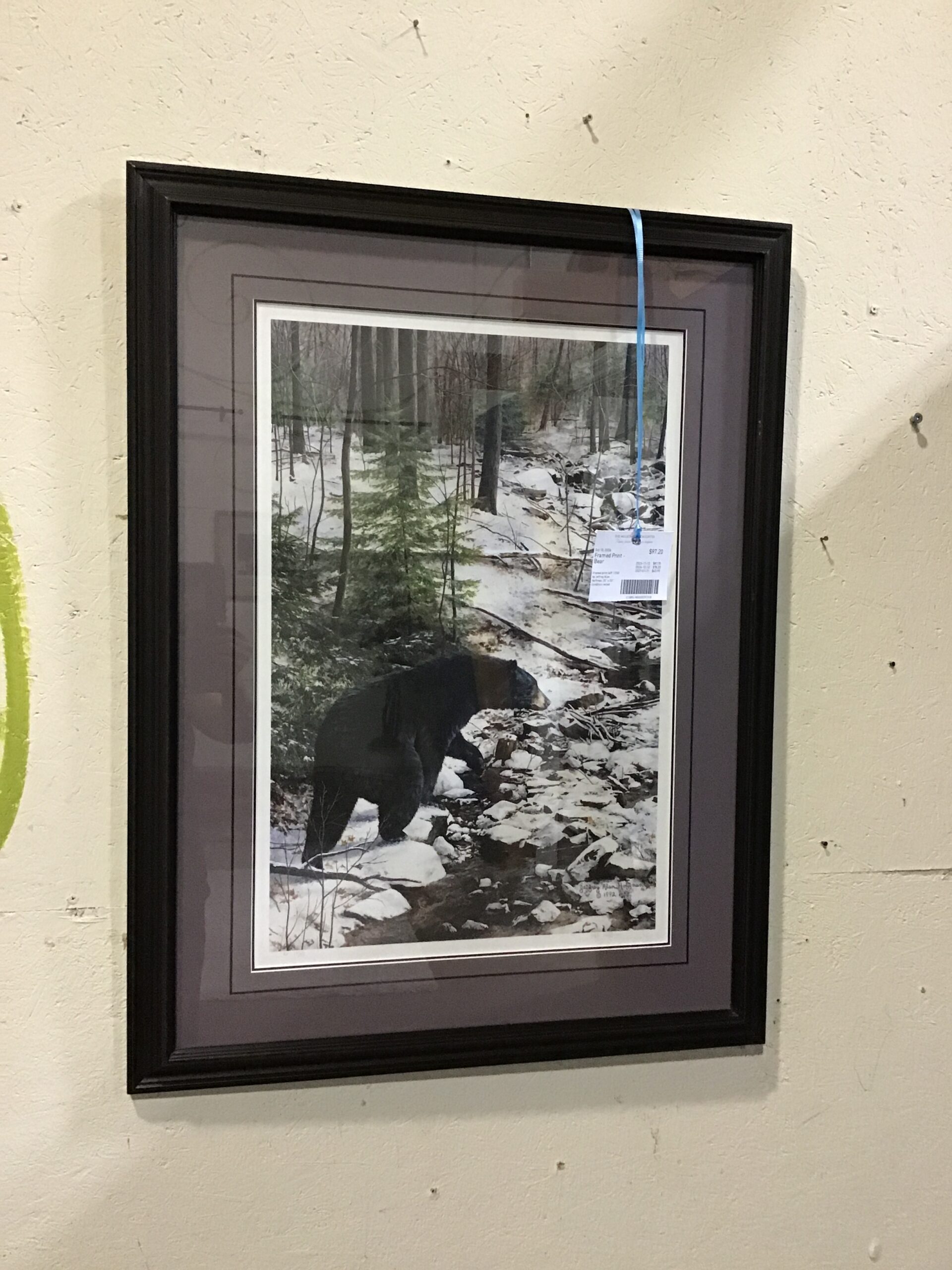Framed Print – Bear