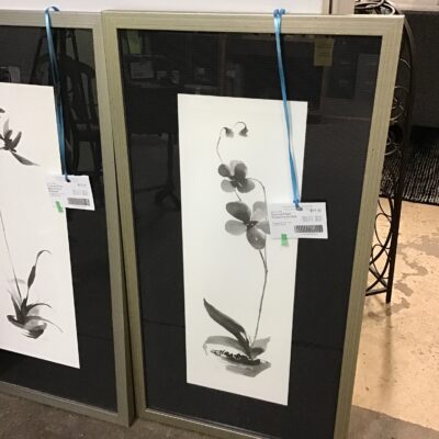 Framed Print – Flowering Orchid