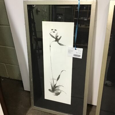 Framed Print – Wild Orchid Blossom