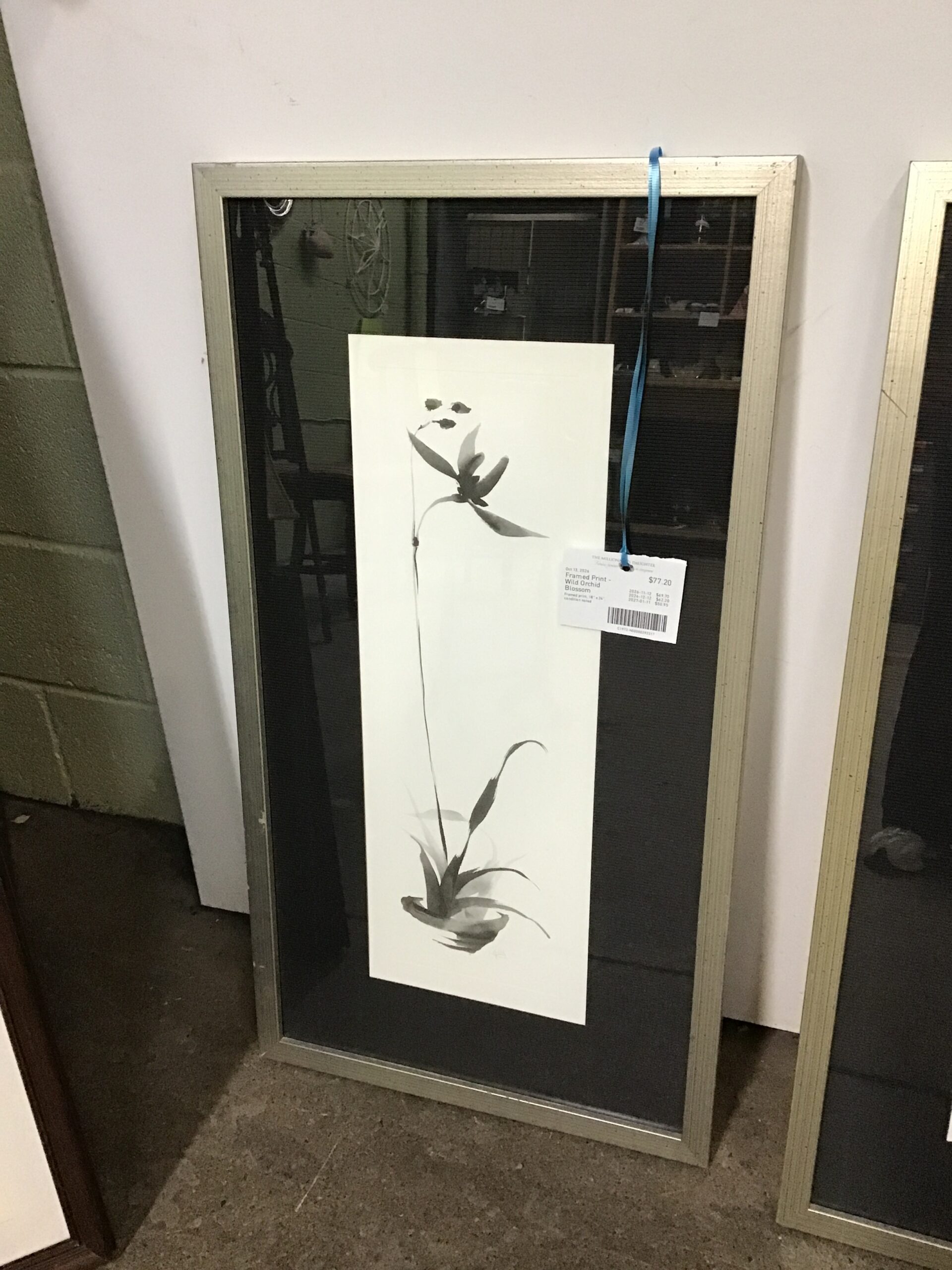 Framed Print – Wild Orchid Blossom