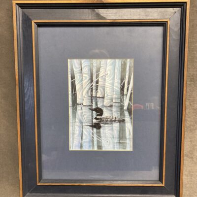 Framed Print – Loon Shadow