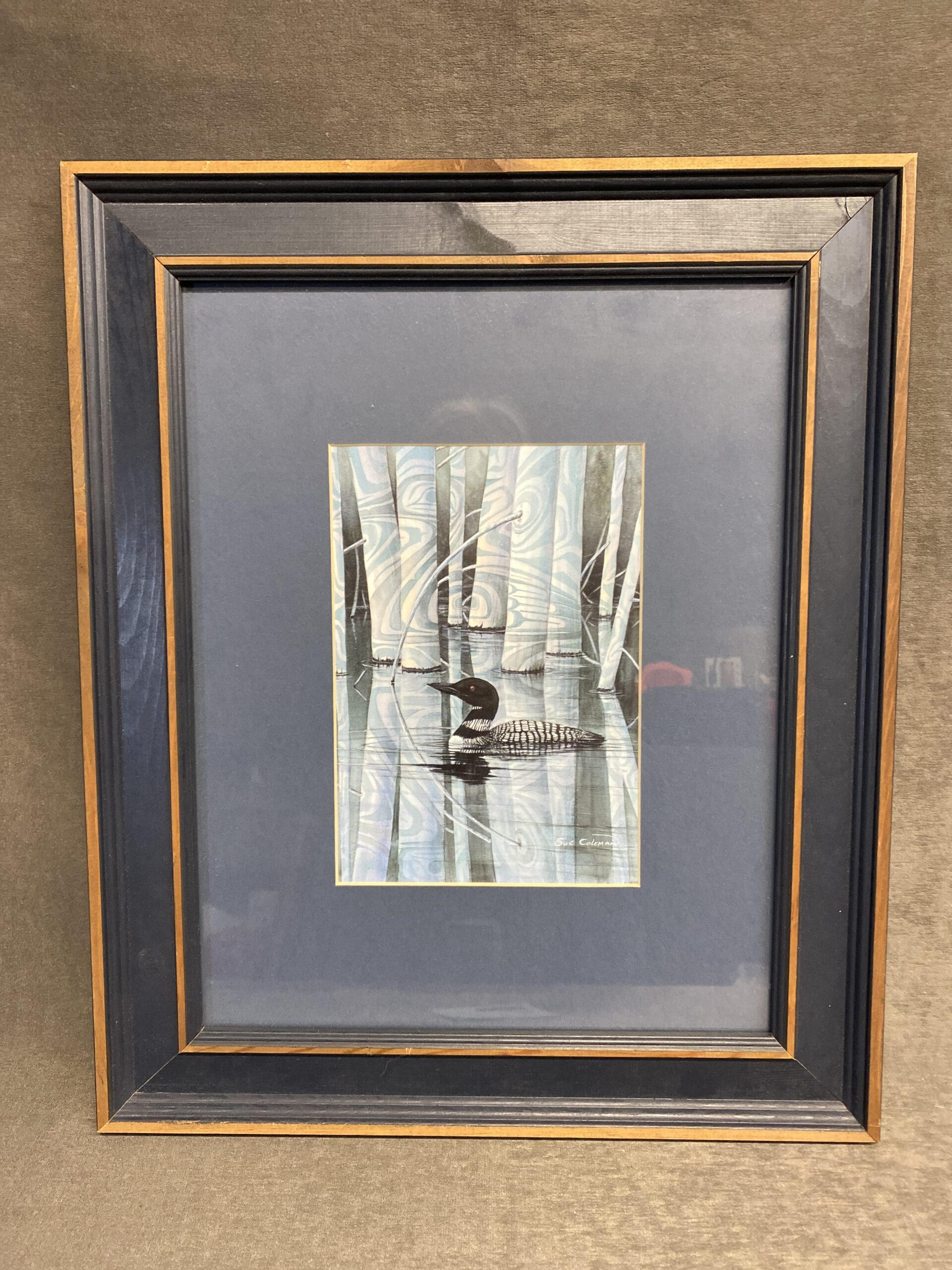 Framed Print – Loon Shadow