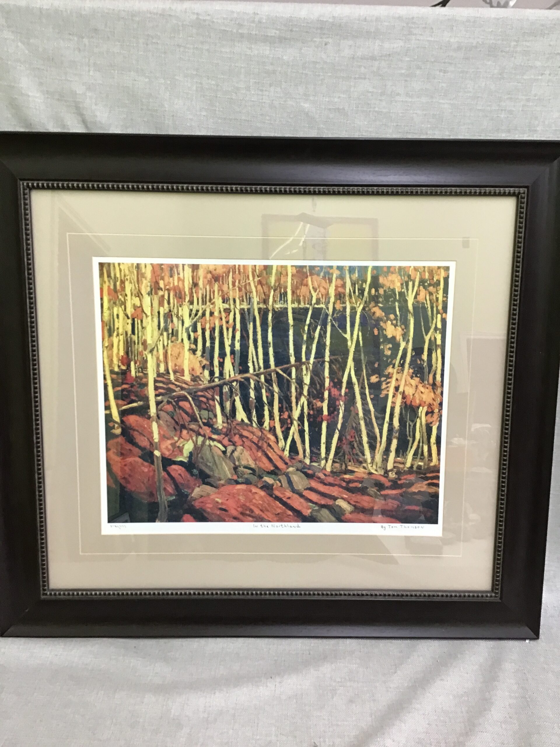 Tom Thomson ‘In The Northland’ Framed Print