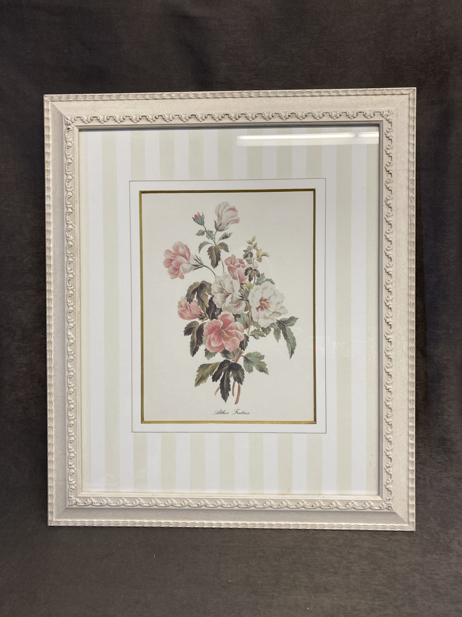 Framed Print – Althur Frutex