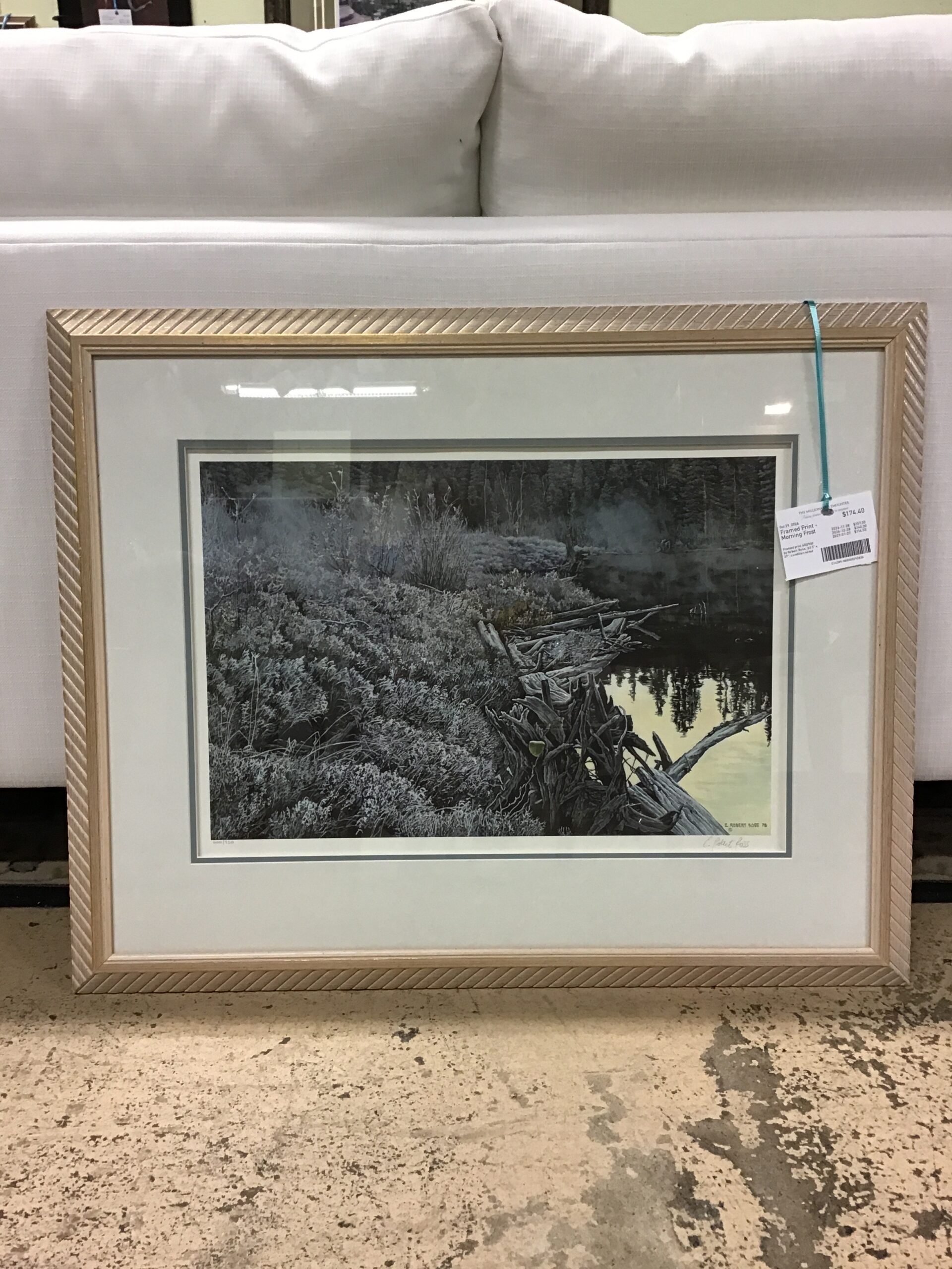 Framed Print – Morning Frost