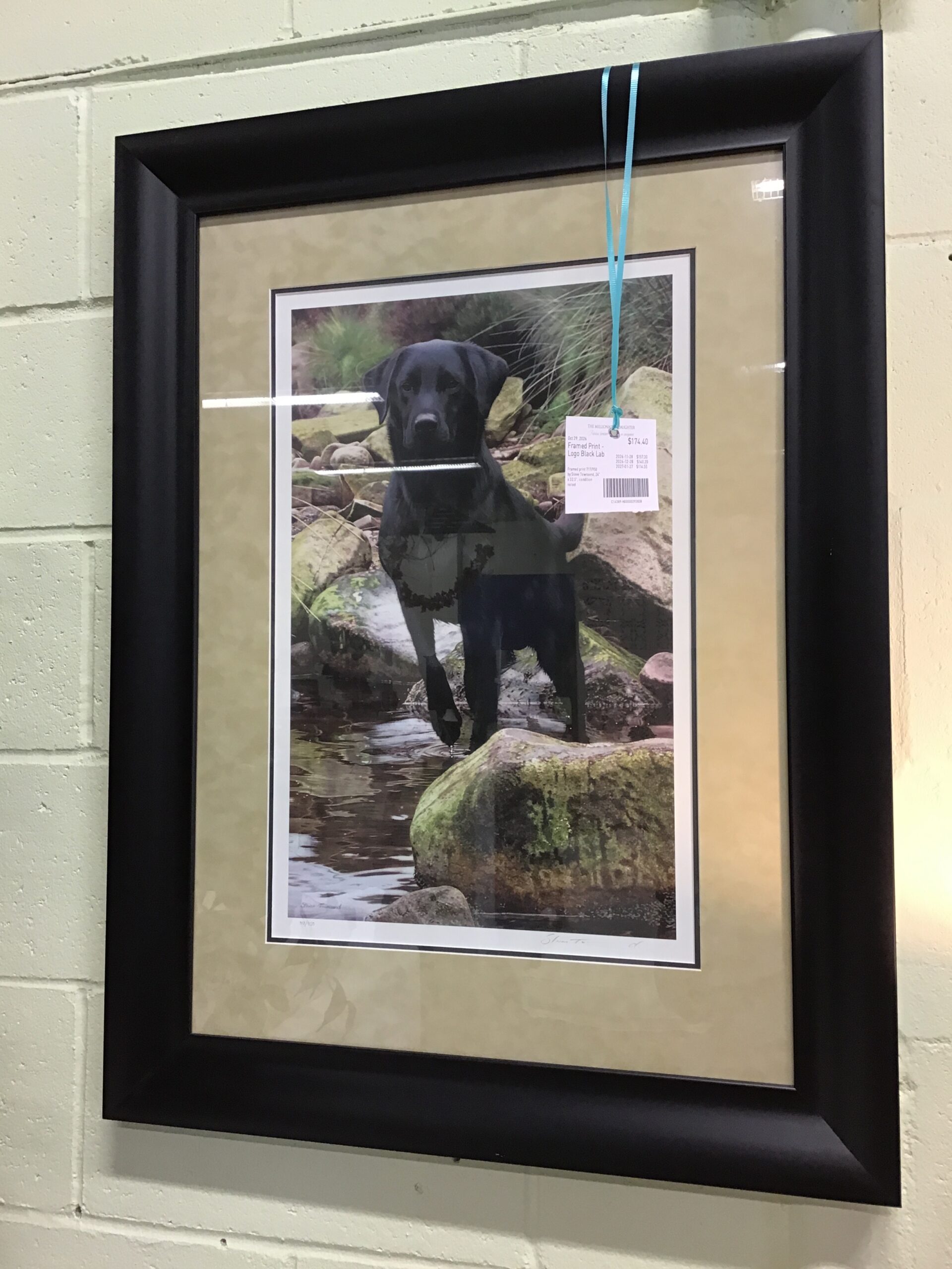 Framed Print – Logo Black Lab