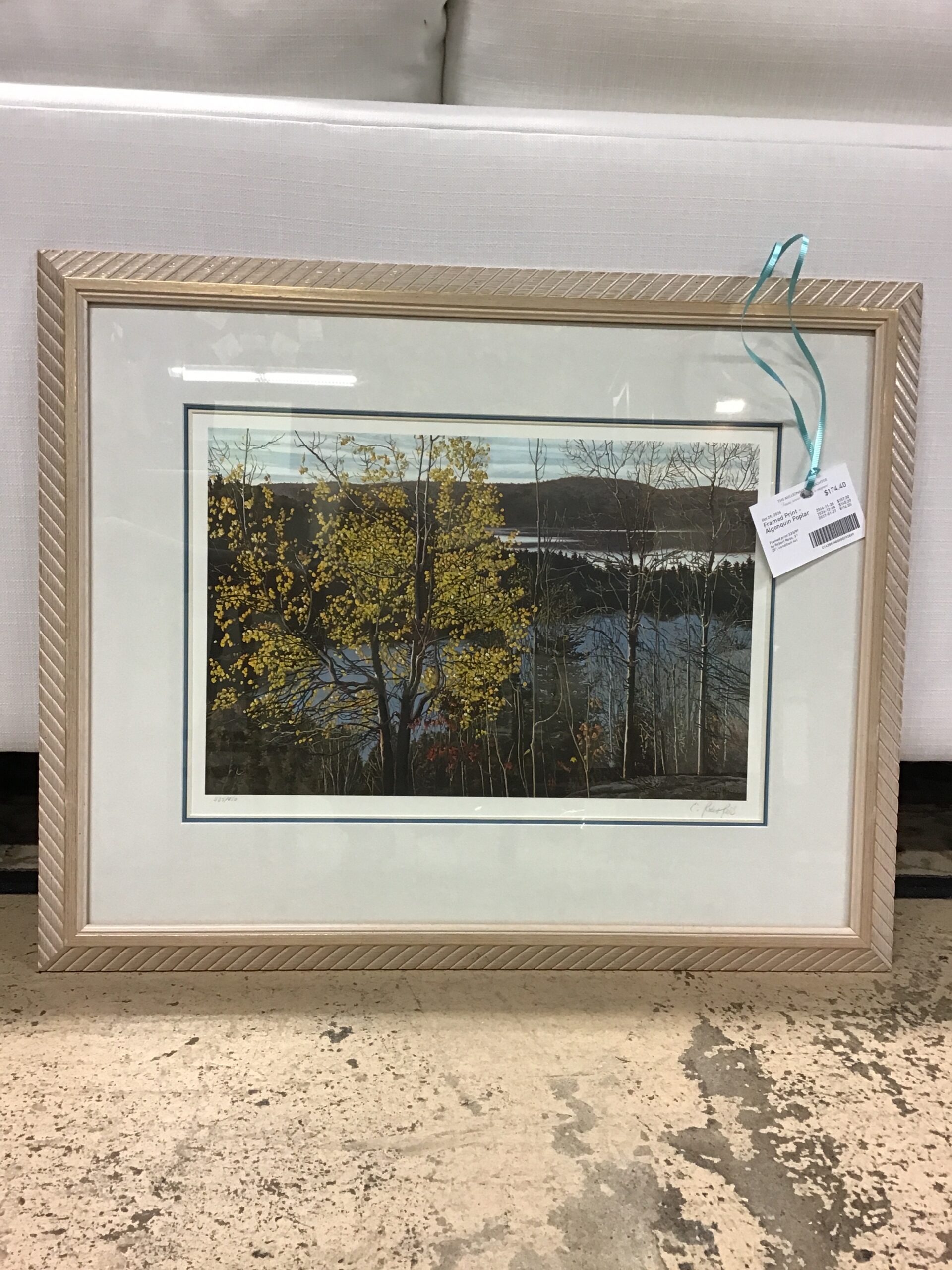 Framed Print – Algonquin Poplar