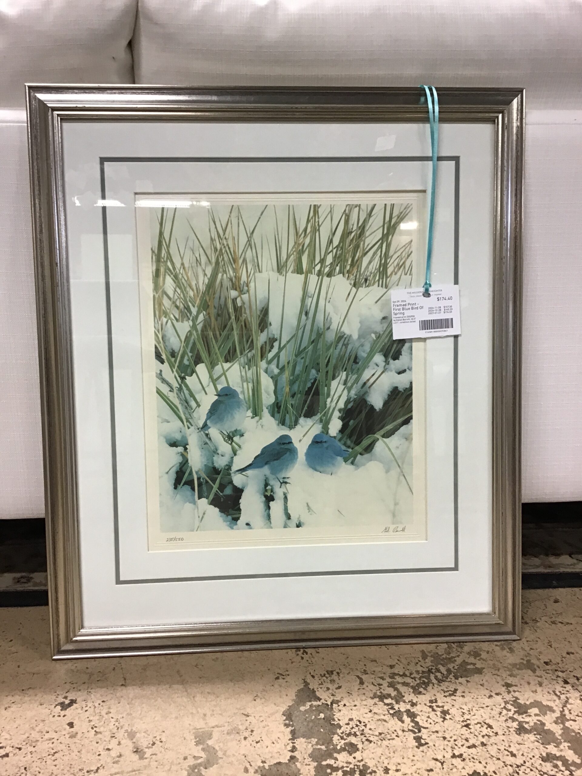 Framed Print – First Blue Bird Of Spring