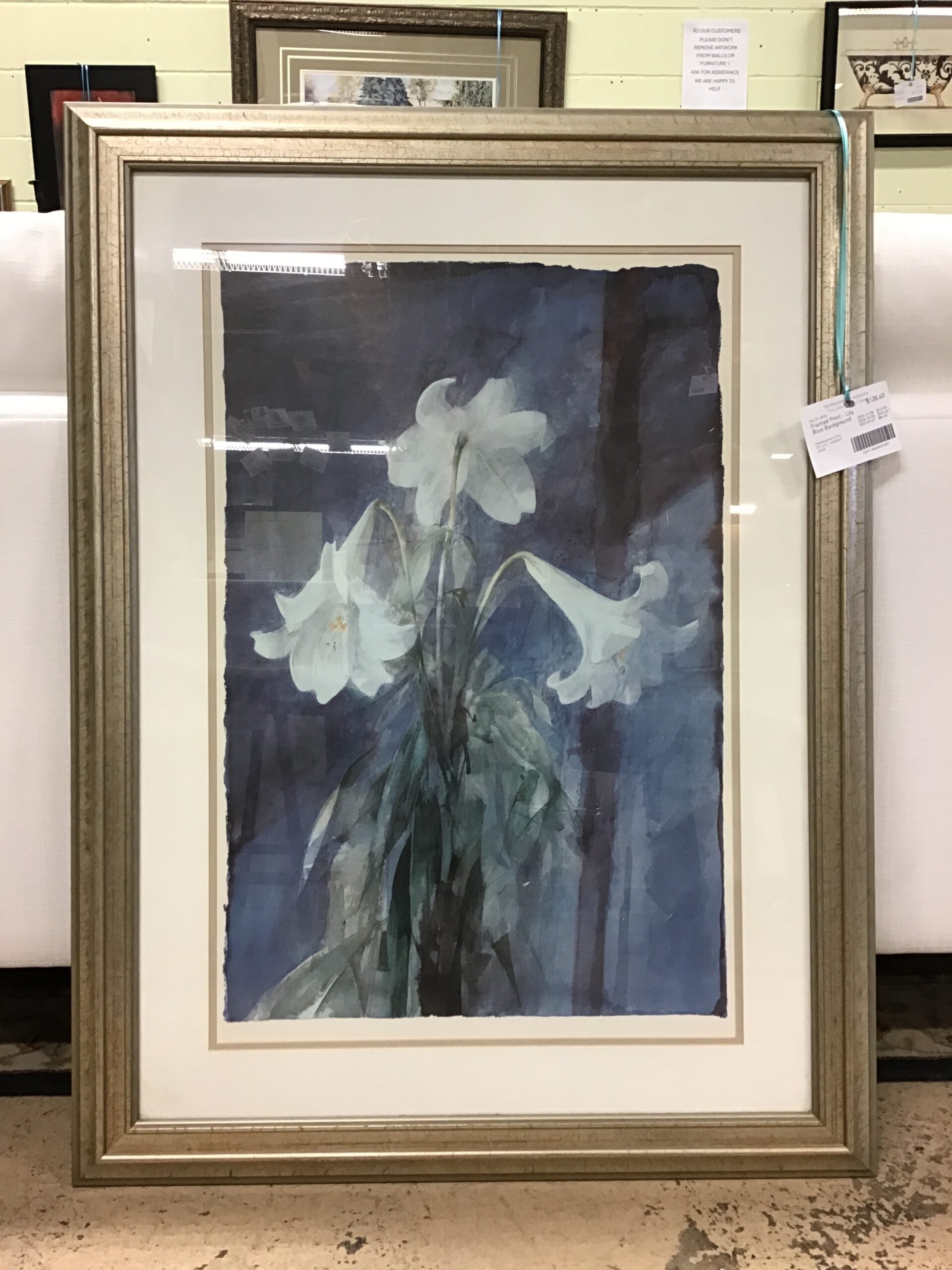 Framed Print – Lily Blue Background